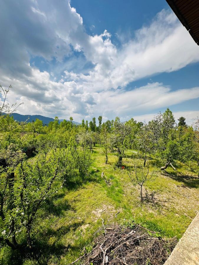 Sheen Homestay Gulmarg Exterior foto